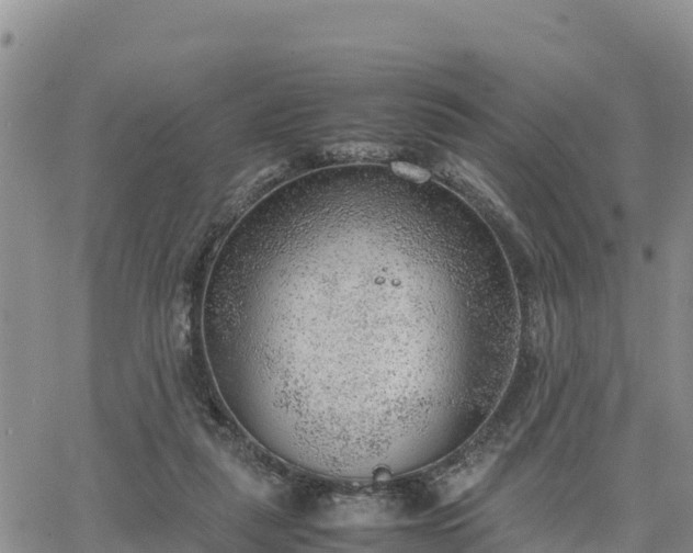 X0000064750259200602171740