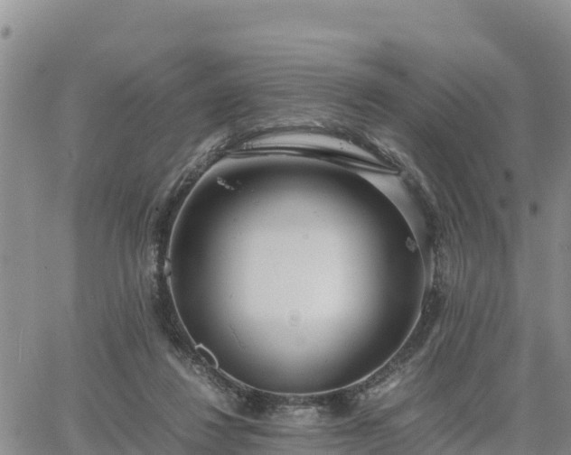 X0000064750260200602171740