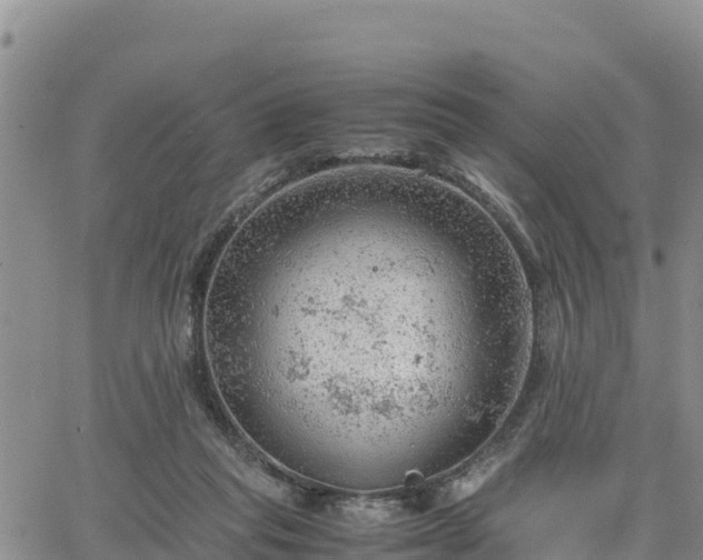 X0000064750261200602171740