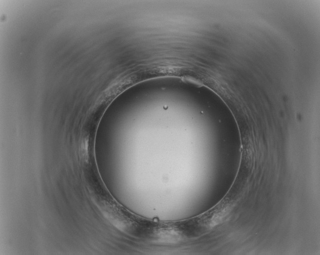 X0000064750262200602171740