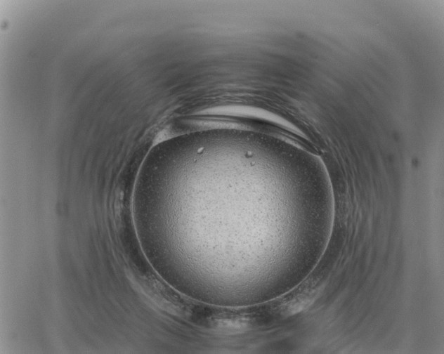 X0000064750263200602171740