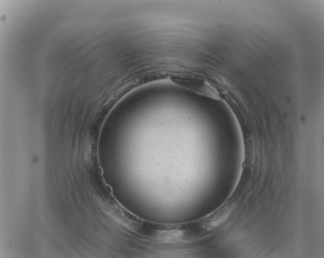 X0000064750266200602171741