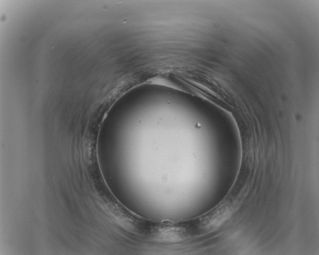 X0000064750268200602171741