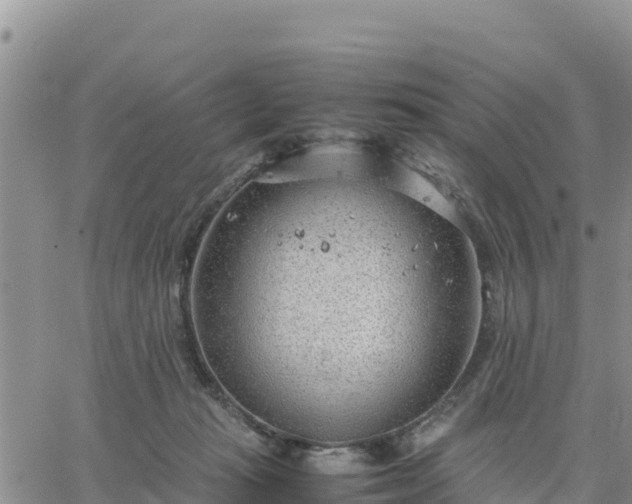 X0000064750269200602171741