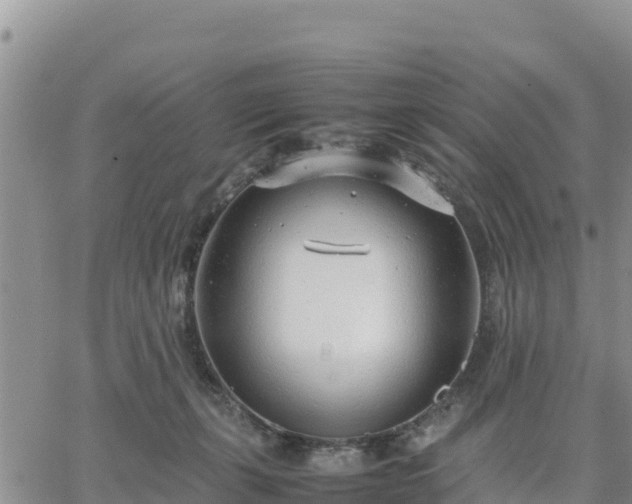 X0000064750271200602171741