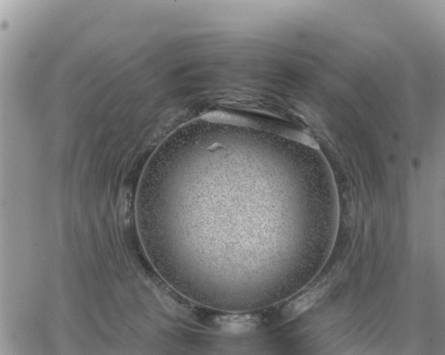 X0000064750273200602171741