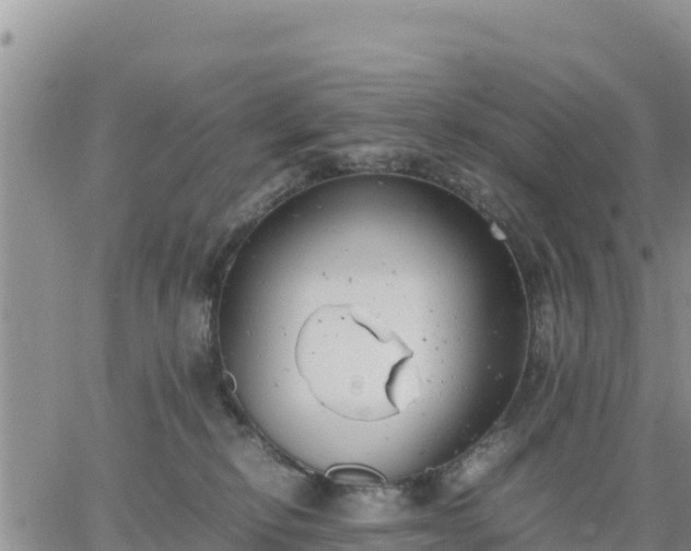 X0000064750278200602171741