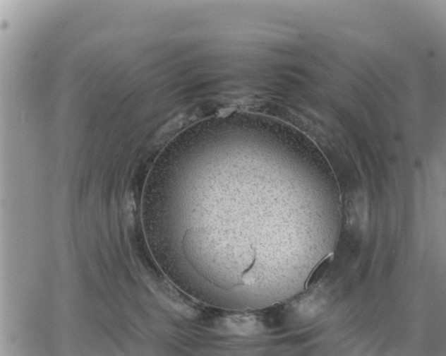 X0000064750279200602171741