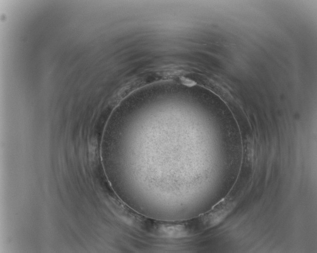 X0000064750283200602171741