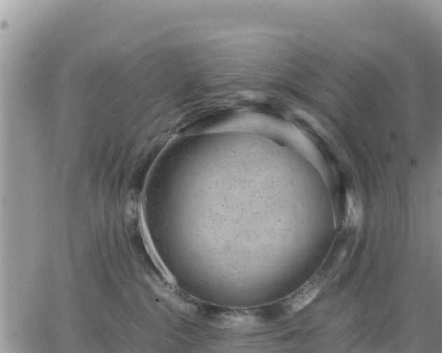 X0000064750284200602171741