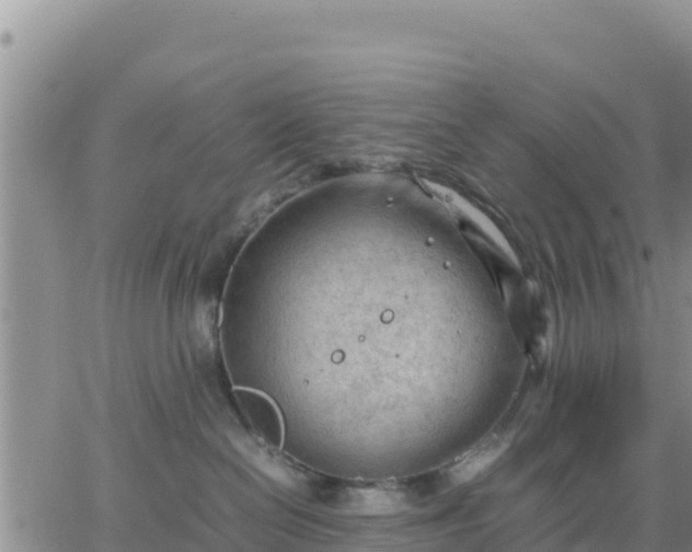 X0000064750286200602171741