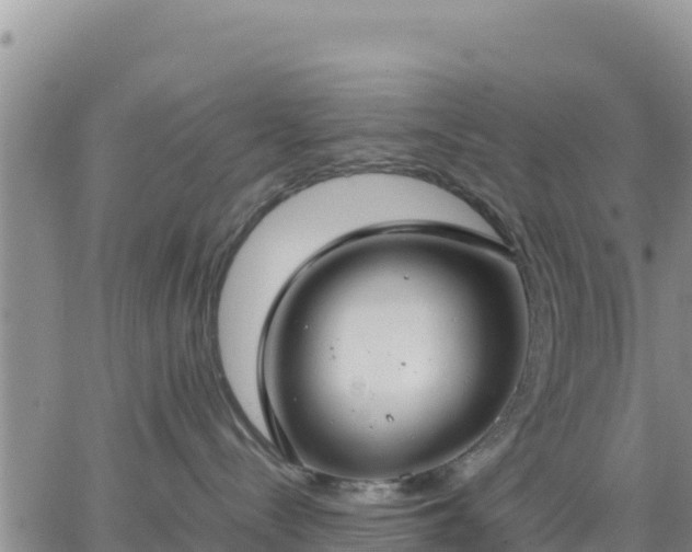 X0000064750288200602171741