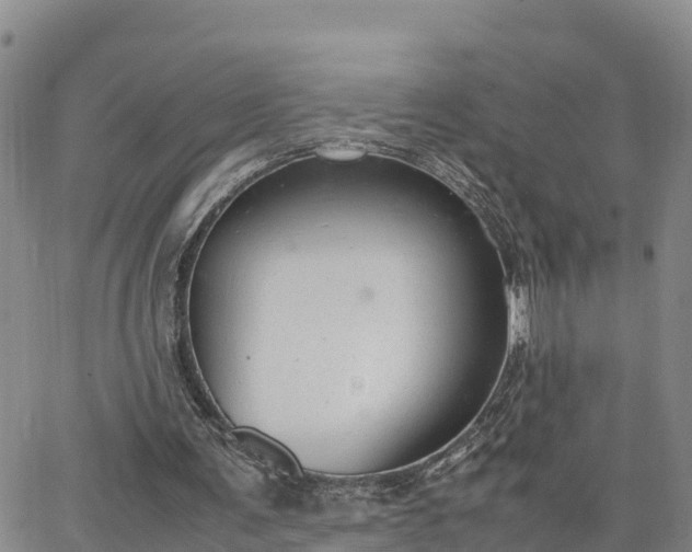 X0000064750291200602171740