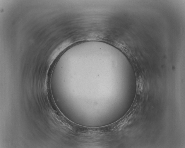 X0000064750292200602171740