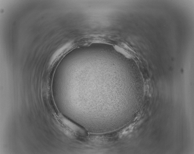 X0000064750293200602171740