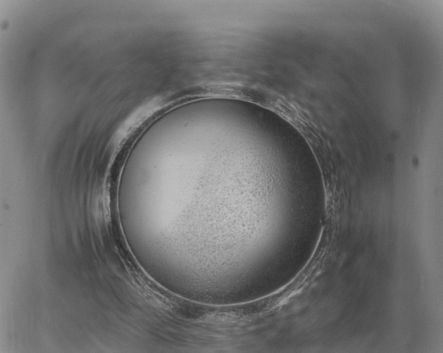 X0000064750294200602171740