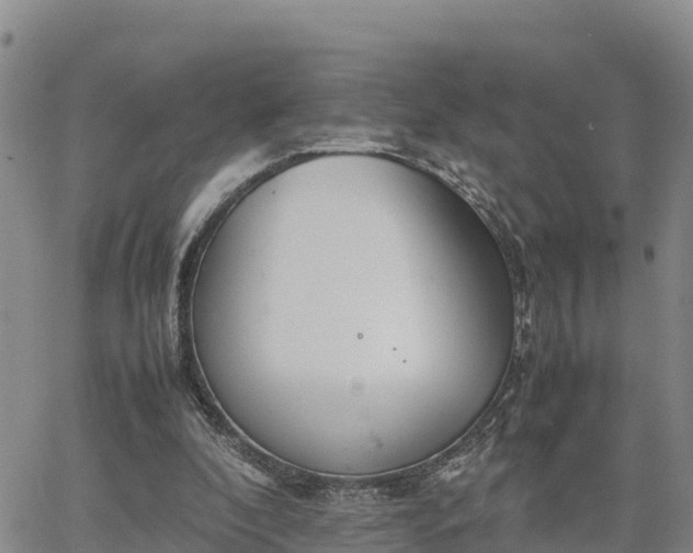 X0000064750296200602171740