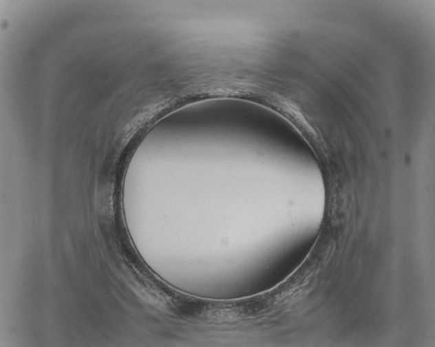 X0000064750299200602171740