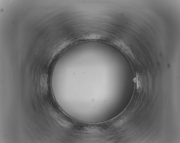 X0000064750300200602171740