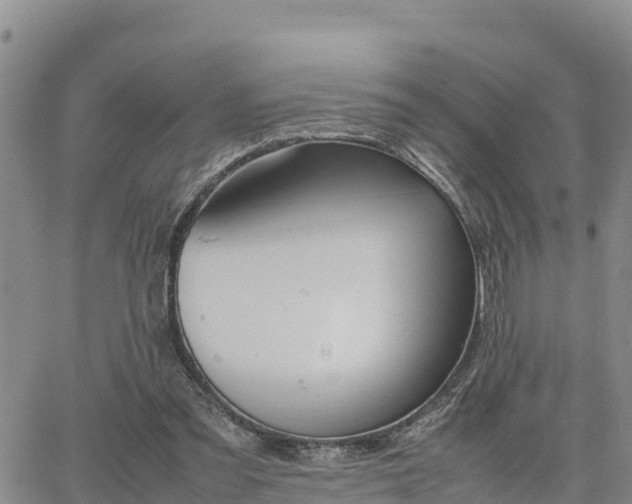 X0000064750301200602171740