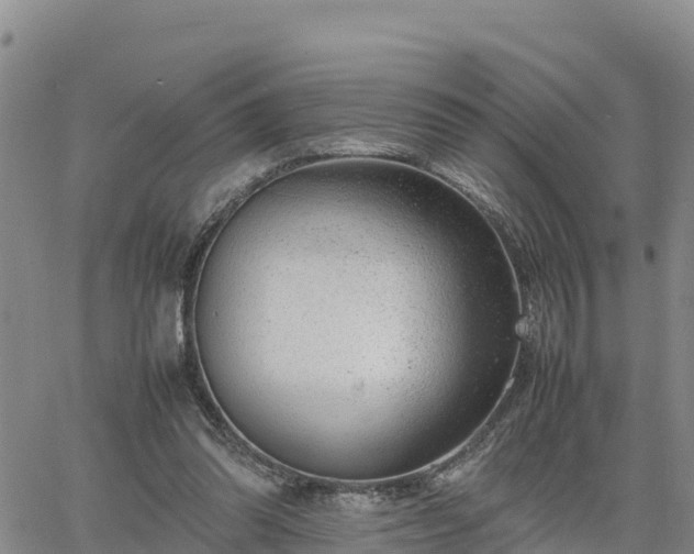 X0000064750302200602171740