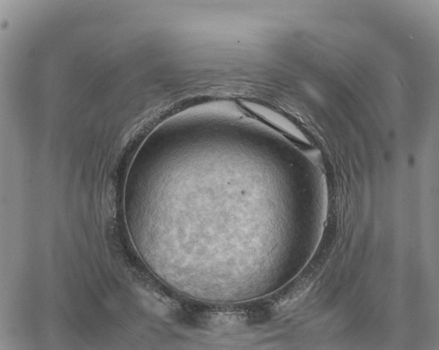 X0000064750303200602171740