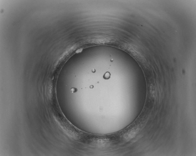 X0000064750304200602171740