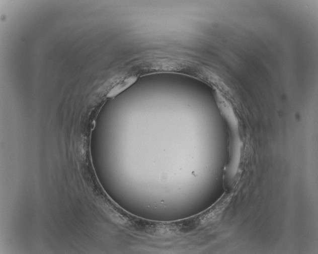 X0000064750305200602171740