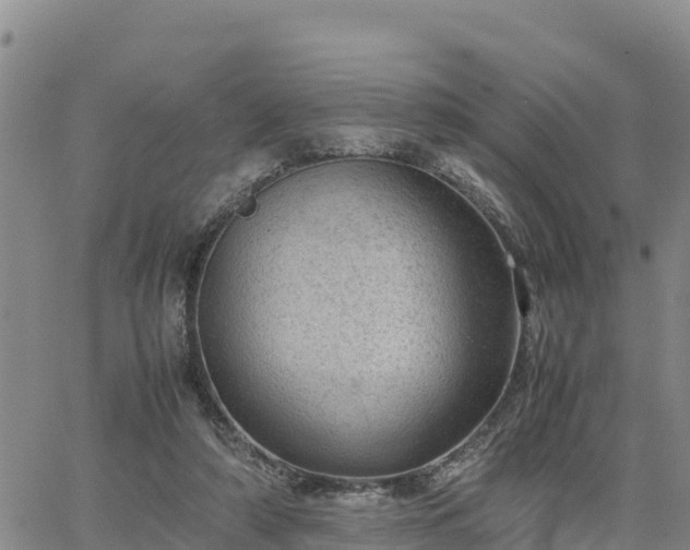 X0000064750306200602171740