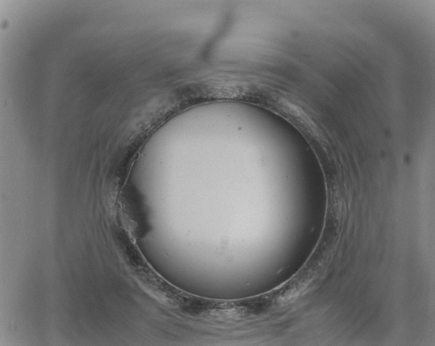 X0000064750307200602171740