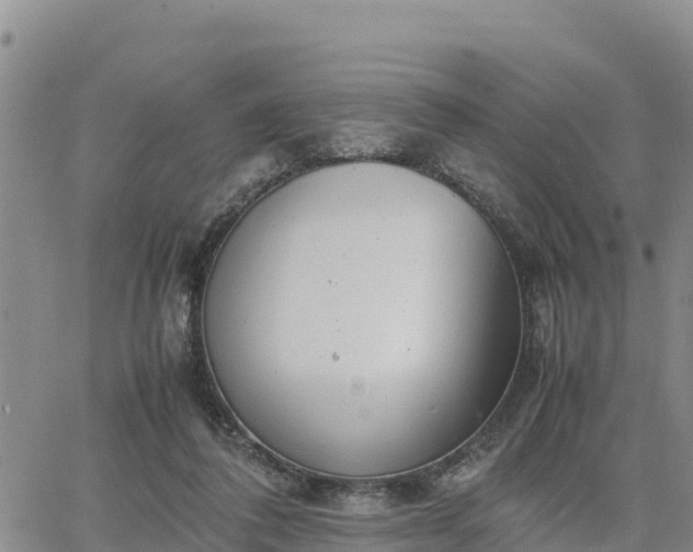 X0000064750308200602171740