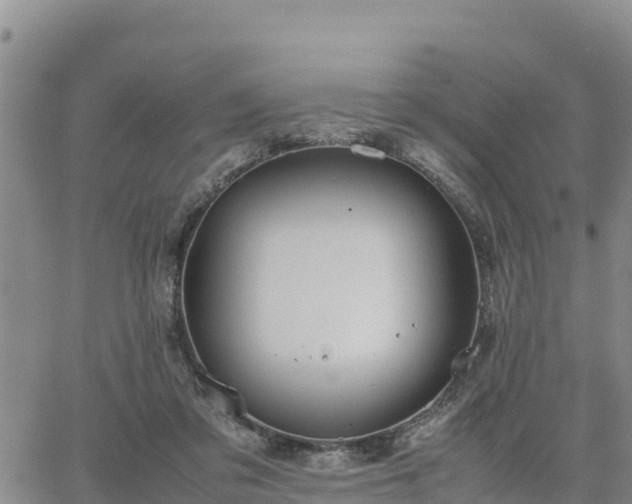 X0000064750309200602171740