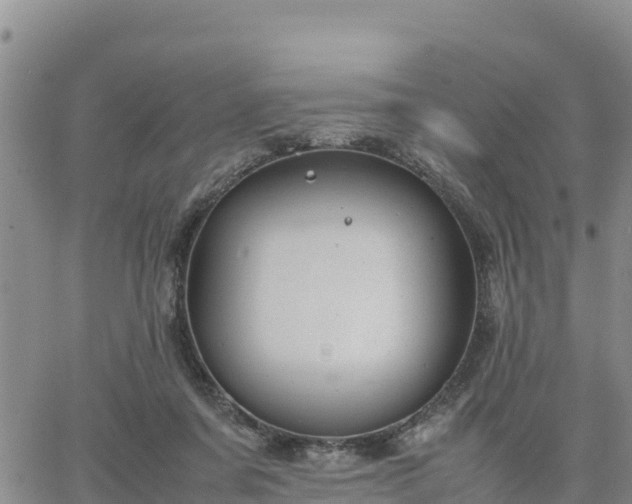 X0000064750311200602171740