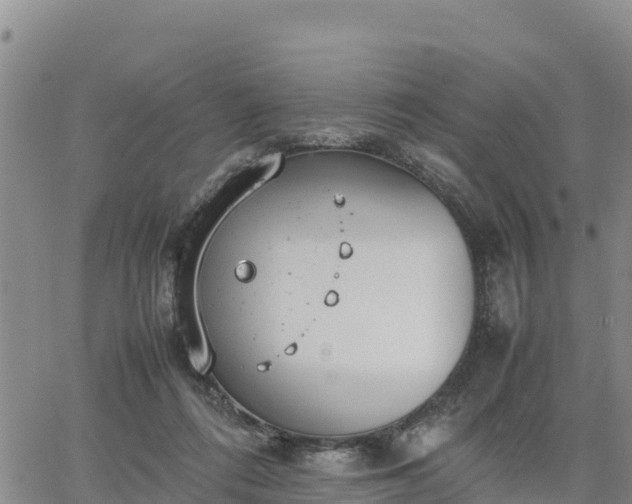 X0000064750312200602171740