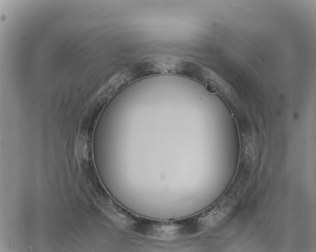 X0000064750313200602171740