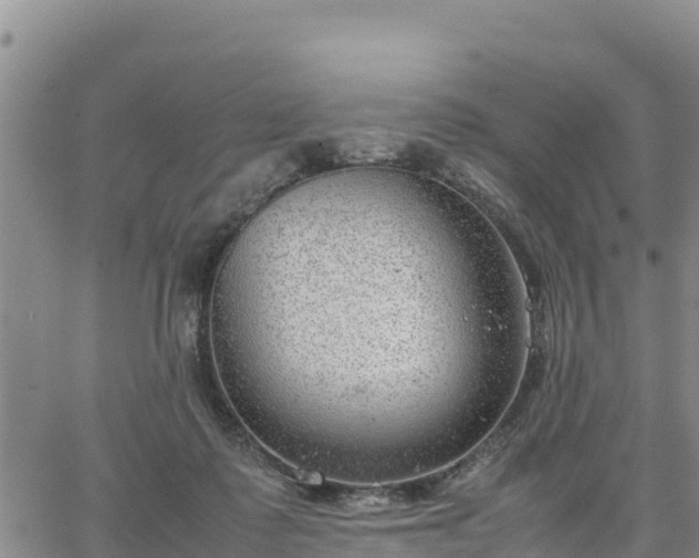 X0000064750315200602171740