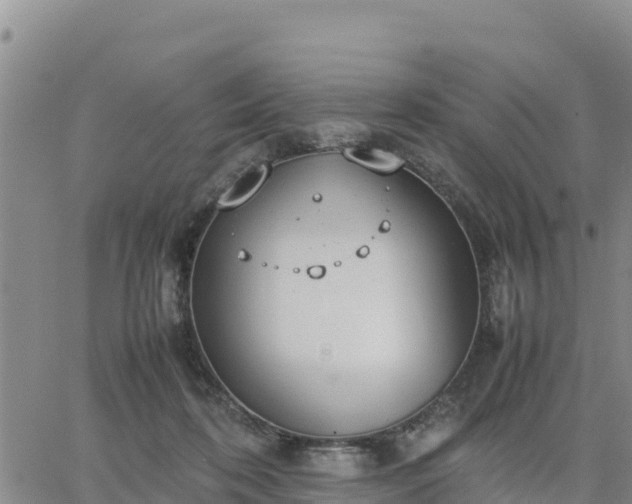 X0000064750316200602171740