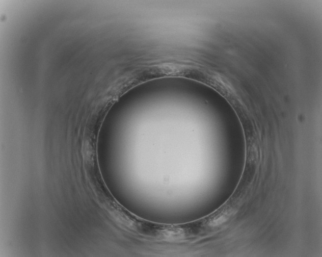 X0000064750317200602171740