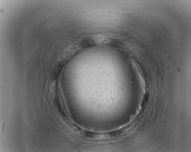 X0000064750319200602171740