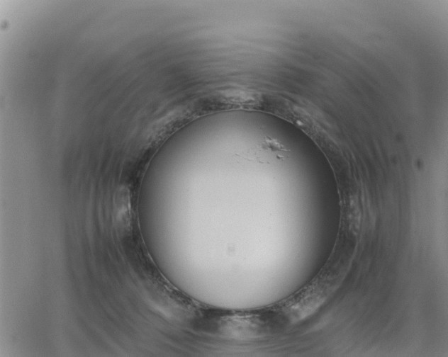 X0000064750320200602171740