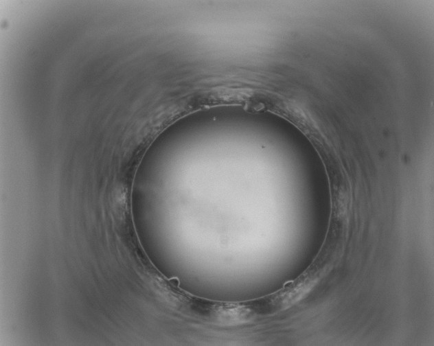 X0000064750321200602171740