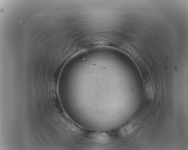 X0000064750322200602171740