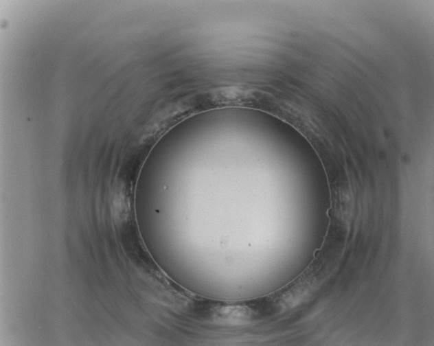 X0000064750324200602171740