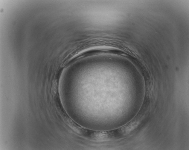 X0000064750325200602171740