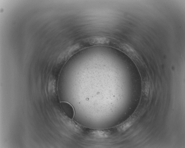 X0000064750326200602171740