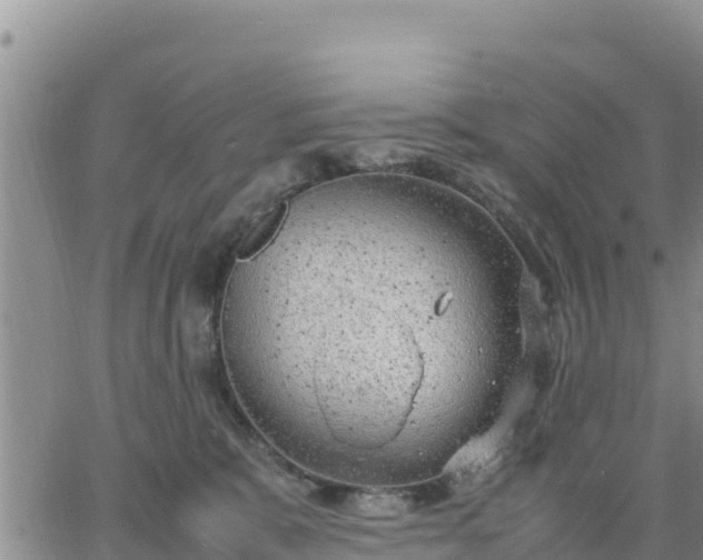 X0000064750327200602171739