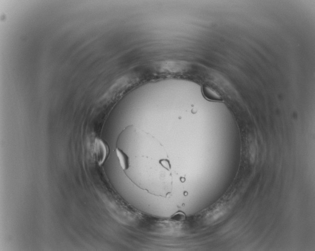 X0000064750328200602171739