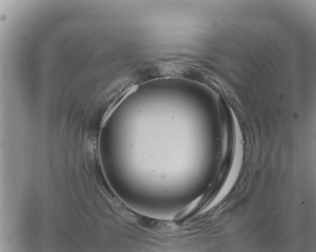 X0000064750329200602171739