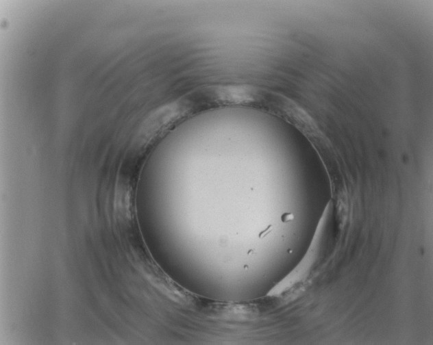 X0000064750330200602171739