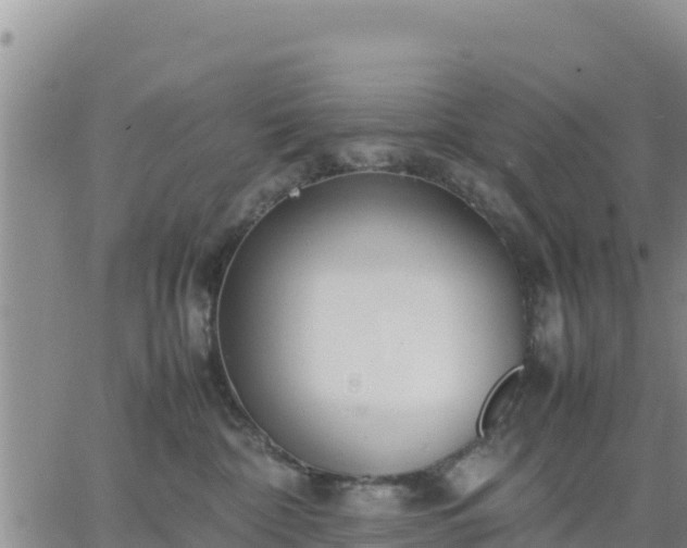 X0000064750332200602171739